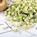 【2025年新物】ジャスミン花（乾燥）50g｜食用・お茶用｜無添加・天然香りの乾燥茉莉花