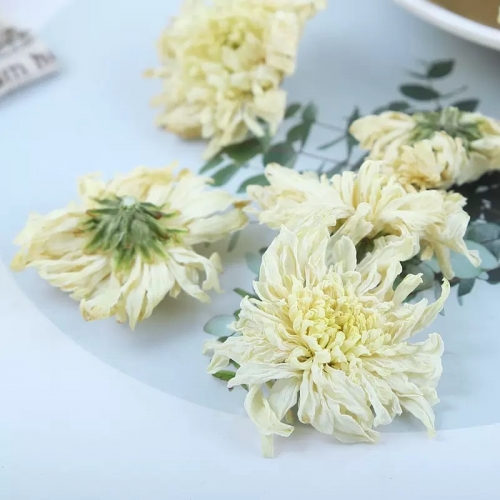 新物七月産 貢菊・白菊花茶 50gバラ詰め 清熱・デトックス用ハーブティー